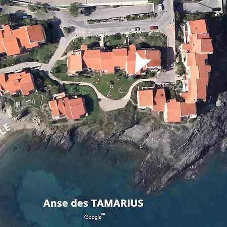 Collioure Appart En Bord De Mer Plage A 50M Clim Garage Location Du Samedi Au Samedi Eksteriør billede