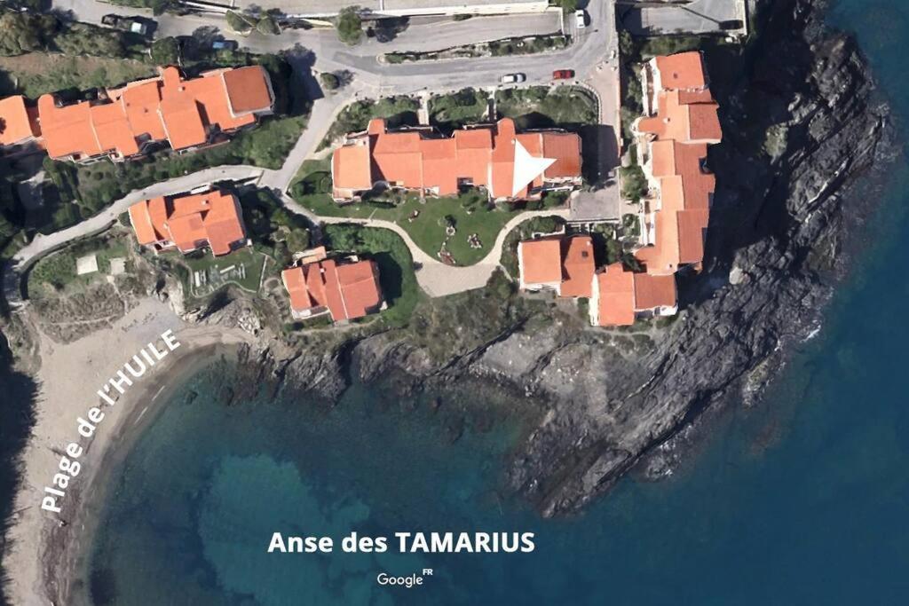 Collioure Appart En Bord De Mer Plage A 50M Clim Garage Location Du Samedi Au Samedi Eksteriør billede
