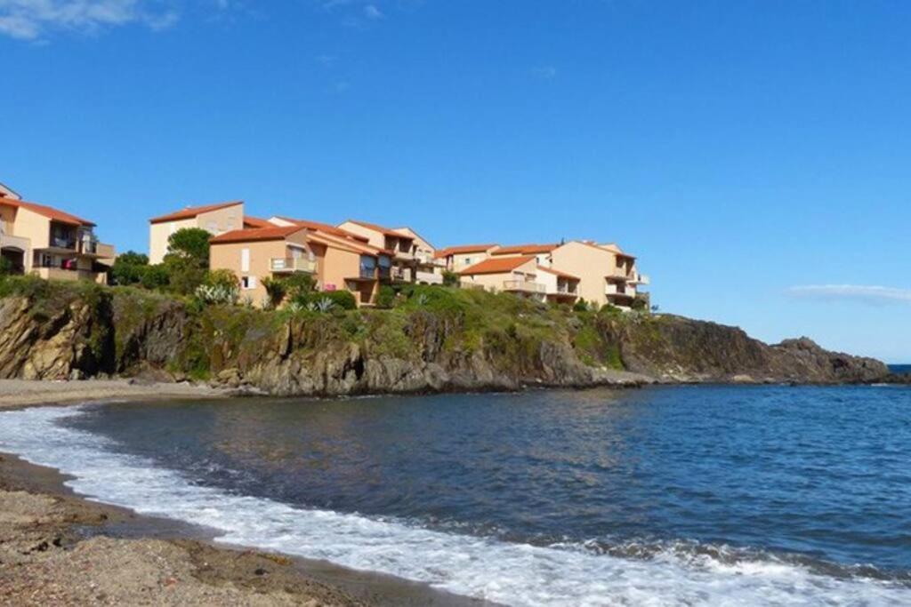 Collioure Appart En Bord De Mer Plage A 50M Clim Garage Location Du Samedi Au Samedi Eksteriør billede