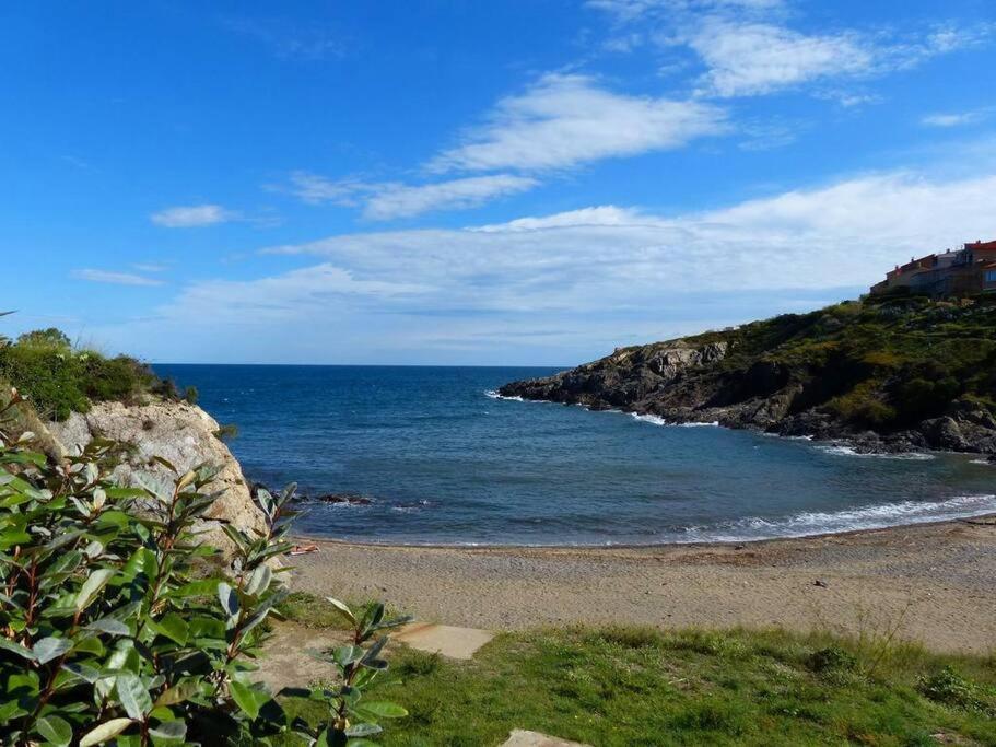 Collioure Appart En Bord De Mer Plage A 50M Clim Garage Location Du Samedi Au Samedi Eksteriør billede